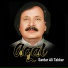 Sardar Ali Takkar