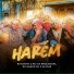 Boyzinho o Rei da Bregadeira, Kaysar, Mc Nando Dk