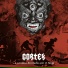 Córtex
