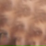 Vanille