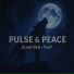 DaKing-TsP