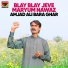 Amjad Ali Bara Ghar