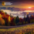 Relaxing Piano Music Oasis