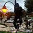 YungTavin