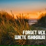 Wiete Ishikawa