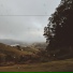 Ambient Forest, Regen, Rising Higher Meditation
