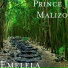 Prince J Malizo feat. Zolotoff, NTK Wadi Beats