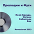 Исай Браудо