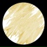 Dold