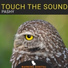 Touch The Sound