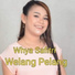 Whya Safitri
