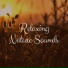 Rain Sounds Nature Collection