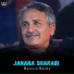 Haroon Bacha