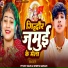 Piyush Yadav, Shweta Sargam