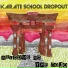 Karate School Dropout