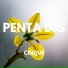 Penta Djs