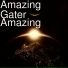 Amazing Gater