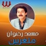 Mosaad Radwan