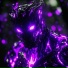 PANDA!, sukhov, BLL4X, Obviousgod