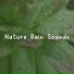 Nature Sounds