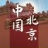张伯宏, 刘亚琳