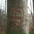 Trestin Eeling
