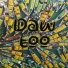 Dawtoo