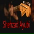 Shehzad Ayubi