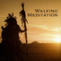 Native American Music Consort