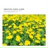 Gray Key