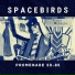 Spacebirds