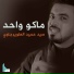 حميد الطويرجاوي