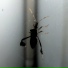 Karmacoma
