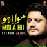Rizwan Zaidi
