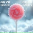 Arya Space