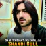 Shandi Gull