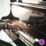 ALEXALMMUSIC