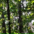 Yaroton