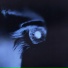 IMAYER