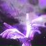LXN, Shuaneri
