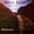Auris Zulpa