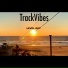 TrackVibes