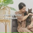 Cats Music Zone
