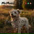 McMusic