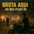 Mc Zeu Pl