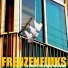 Frenzenfiuks
