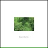 Slow Life Music Laboratory