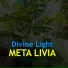 Meta Livia