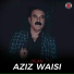 Aziz Waisi