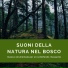 Rilassamento Senza Fine & Relax